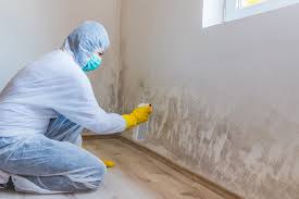 Reliable Pelican Bay, TX Mold Remediation Solutions